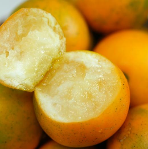 广西融安脆蜜金桔（三代） 商品图0