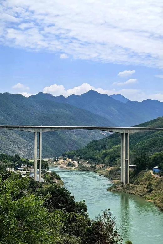 【昔归茶王】2025年临沧昔归茶王绝对身份的象征绝对口感上的享受，新春贺礼，压箱底宝物 新春给爱茶的自己囤好茶 仅有一份，仅分享500克 商品图3