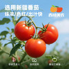 西域美农 去皮整番茄罐头425g*5   新疆/武功双仓发货 商品缩略图4