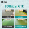 华畜小球藻种5L 快速肥水光合产氧 补充有益藻 商品缩略图4