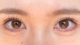 liliyacon半年抛美瞳 流光碎金 14.5mm