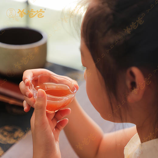 【陈皮麦芽山药发酵饮】开袋即饮|草本发酵 酸甜可口 孩子爱喝 吃饭香香 商品图5