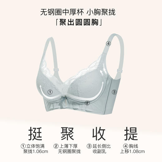 【7.5折限时特惠】【B杯单件】【秀黛】倾城甜心无钢圈中厚杯文胸【三排扣】W5110005B【门店同款】 商品图1