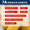 微玉 拉丝黄糯玉米 香甜糯 真空装 7A高标准 非转基因 1.52kg*2袋 商品缩略图1