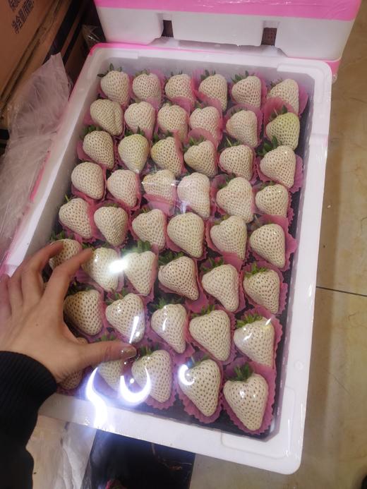 白雪公主 草莓【整板】 商品图1