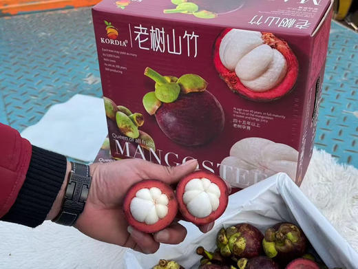 泰国山竹，礼盒装白胖子，品质非常棒的新鲜山竹，叶瓣青绿，果身软🍃去火神器。礼盒5斤 商品图0