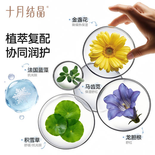 【100元3件随心配】（买6件加赠帆布包）婴儿冰沙面霜金盏花春夏季宝宝面霜儿童宝宝专用清爽保湿 商品图3