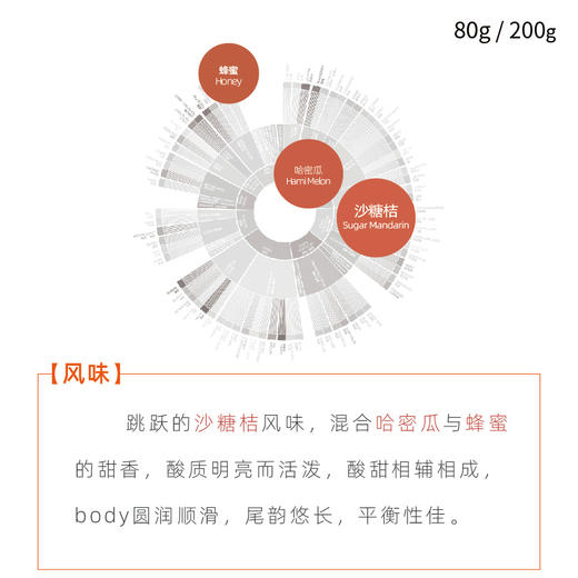 萨尔瓦多贝娜蒂纳蜜处理浅烘焙手冲咖啡豆 商品图1