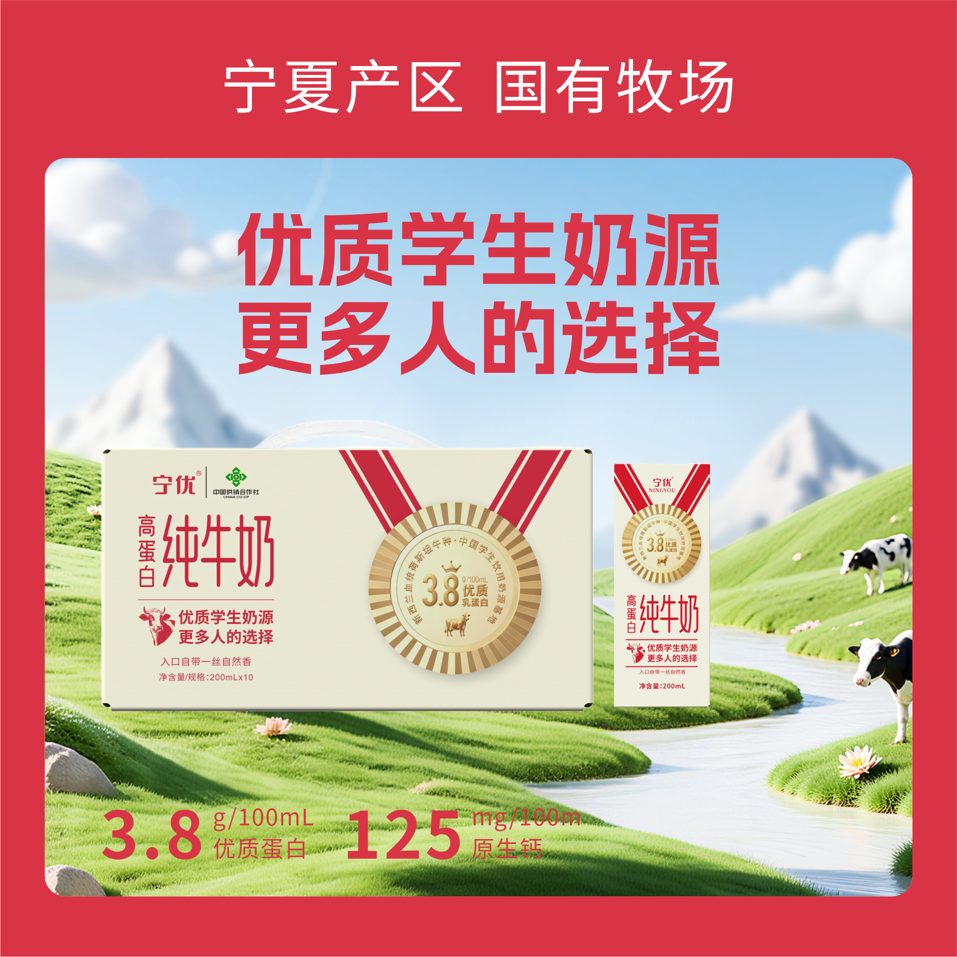 春节不打烊！宁优・3.8高蛋白纯牛奶【99元到手4箱】纯牛奶/牛奶/饮品/奶