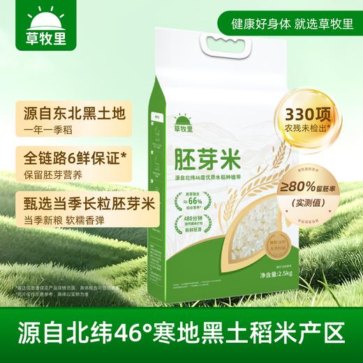 【颗粒饱满】草牧里 胚芽米 2.5kg/袋 新米低温轻碾保留胚芽营养** 商品图0