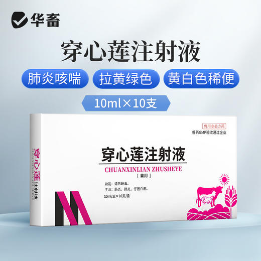 华畜 穿心莲注射液10ml*10支 清热解毒 肠炎肺炎 仔猪白痢 马牛羊猪用 商品图0