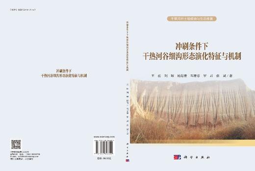 冲刷条件下干热河谷细沟形态演化特征与机制 商品图3