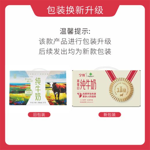 春节不打烊！宁优・3.8高蛋白纯牛奶【99元到手4箱】纯牛奶/牛奶/饮品/奶 商品图5