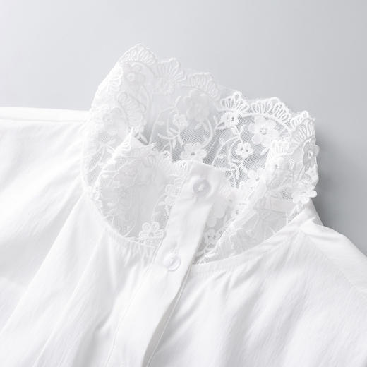 「高货wl」全新升级【铂金会员266/天猫359/差价93】(03252)洛诗琳法式复古蕾丝花边领上衣2026春季新款通勤百搭衬衫 商品图2