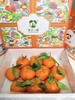 甘平 商品缩略图0