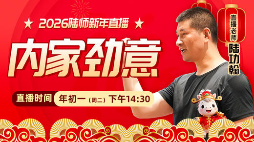 【2月17日】年初一——内家劲意 商品图0
