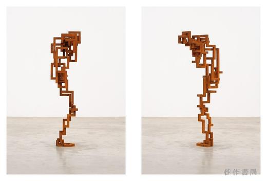 Antony Gormley: Body Buildings / 安东尼·葛姆雷：栖息之所 商品图4