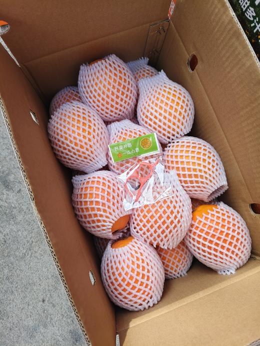 【赣州直发】不慌不忙，渐渐变黄， 顺应天时，自然成熟！🍊赣南脐橙11月5号开园 ，前期挑成熟度高的橙子发出，全国包邮。 商品图3