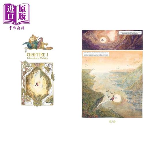 预售 【中商原版】【法文版】法 植物王国 10岁以上 奇幻类图像小说 Plantasia Edition 2026 法文原版 Vincent Dock 商品图2
