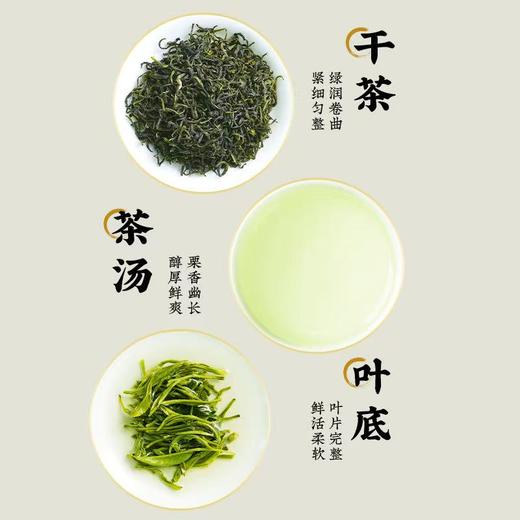 【宜茶甄选】宜昌毛尖浓香耐泡口粮茶罐装半斤250g 商品图1