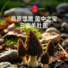 云南羊肚菌 商品缩略图0
