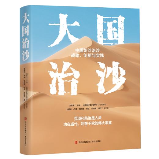 大国治沙 商品图0