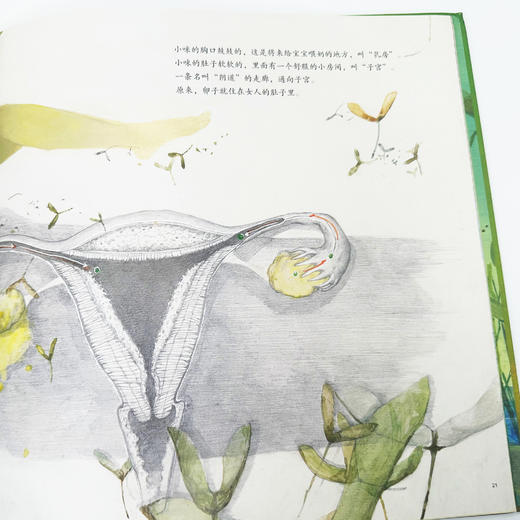 《爸妈怎么有了我？》 商品图8