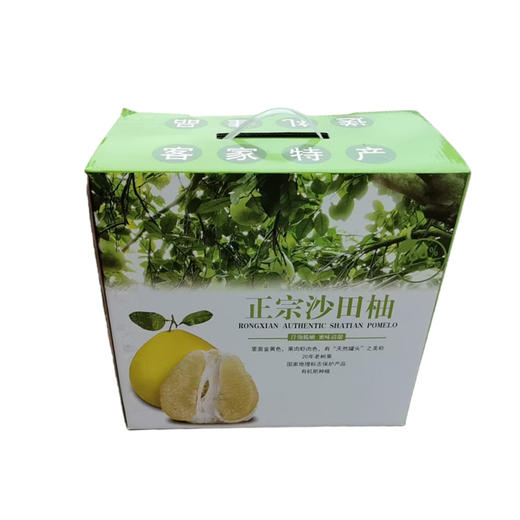 【广东好物】沙田柚  4-4.5斤/8.5-9斤 商品图0