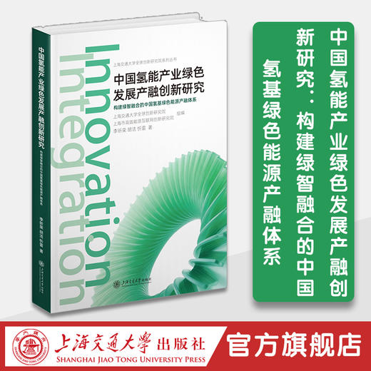 中国氢能产业绿色发展产融创新研究：构建绿智融合的中国氢基绿色能源产融体系 商品图0