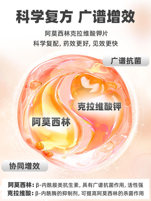 普安特阿莫西林克拉维酸钾片猫鼻支狗狗猫咪感冒药喷嚏咳消炎速克诺佳zx 商品图1