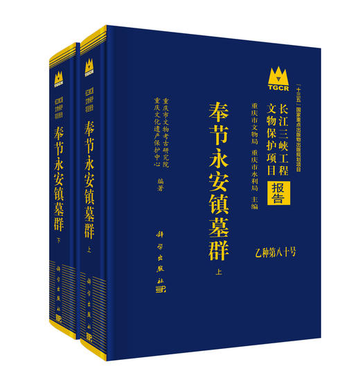 奉节永安镇墓群（全二册） 商品图0