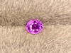 1.01ct紫蓝宝裸石 商品缩略图2