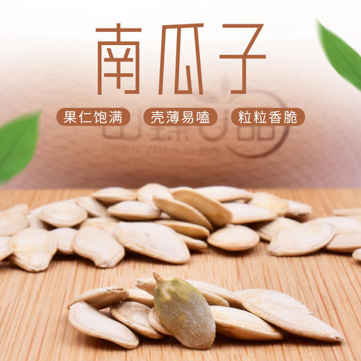 山臻U品南瓜子454g 商品图1