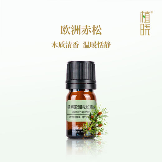 植晓 欧洲赤松精油 5ml 商品图0