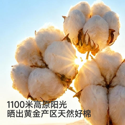 【商场同款】英氏童装儿童长裤春秋男童裤子休闲裤针织裤百搭新款 商品图1