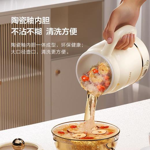 家用多功能迷你电炖杯办公室小型电热杯炖煮加热便携式花茶养生壶 商品图3