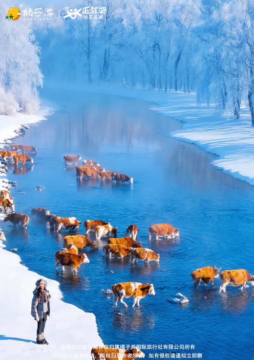 【追光北极·呼伦贝尔+漠河联游】双飞六天游 商品图1
