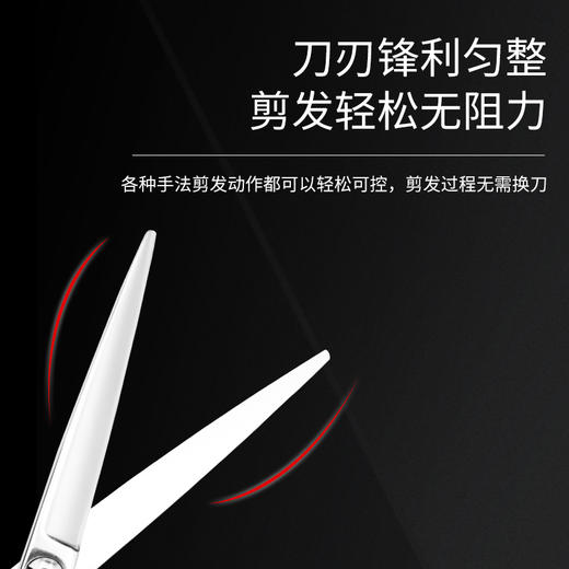 ZEBRA斑马剪刀T100  /剪刀/平剪/6寸 综合剪 商品图2