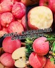 陕西洛川苹果 商品缩略图3