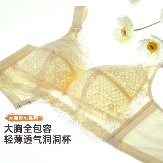 雅黛俪大胸显小显瘦女士内衣轻薄透气蕾丝春夏新款胸罩内衣 商品图1