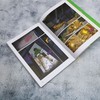 我的奇妙昆虫朋友.5.南洋大兜虫的秘密 商品缩略图4