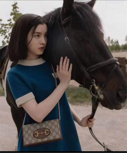 GUCCI1955Horsebit Woc 乌木色拼棕 老花 链条包 商品图2