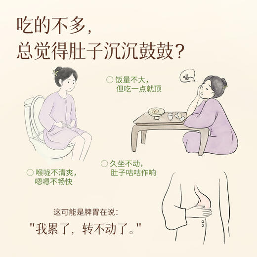 陈皮茯苓饮  草本逐湿 脾胃养生口服液 商品图1