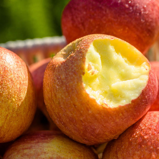 陕西洛川苹果 商品图2