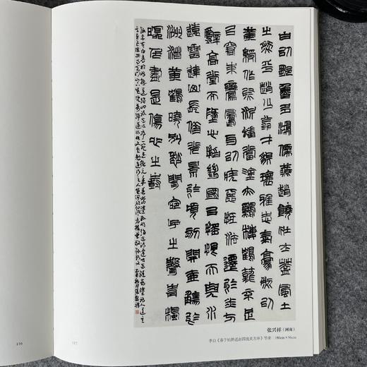 全国第四届篆书展作品集 中书协举办 书法出版社 商品图9