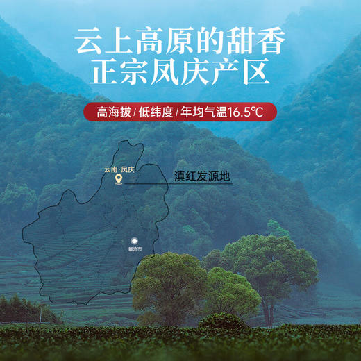 华祥苑-80g滇红单盒 商品图2