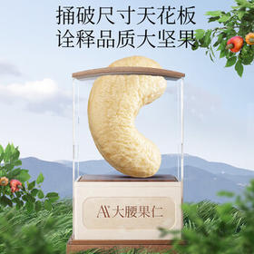 觅菓（miguo）越南原味w180大腰果无漂白0添加剂坚果炒货健康休闲零食500g/罐 /休闲食品 /坚果炒货 /腰果