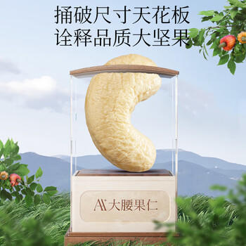 觅菓（miguo）越南原味w180大腰果无漂白0添加剂坚果炒货健康休闲零食500g/罐 /休闲食品 /坚果炒货 /腰果 商品图0