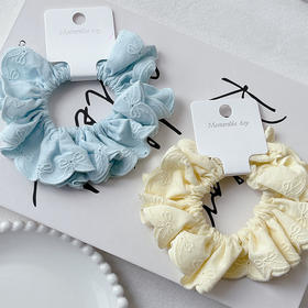 ZY彩色蕾丝小发圈-纪念日百货门店同款169246698