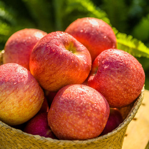 陕西洛川苹果 商品图0